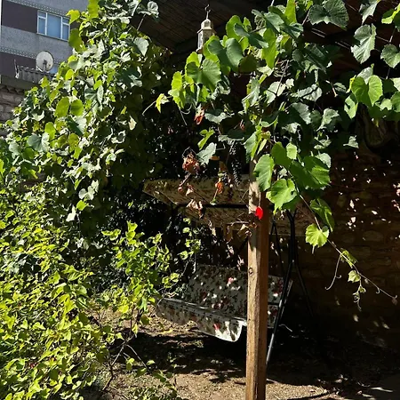 Welcome To The Presence Of History! *