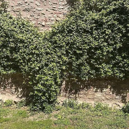 Dom wakacyjny Welcome To The Presence Of History! *