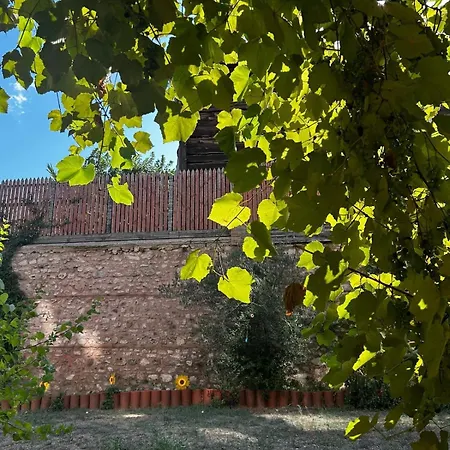 Dom wakacyjny Welcome To The Presence Of History! *