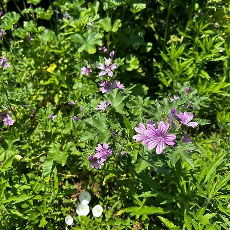 Dom wakacyjny Welcome To The Presence Of History! *