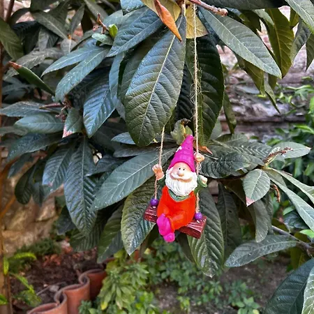 Dom wakacyjny Welcome To The Presence Of History! *