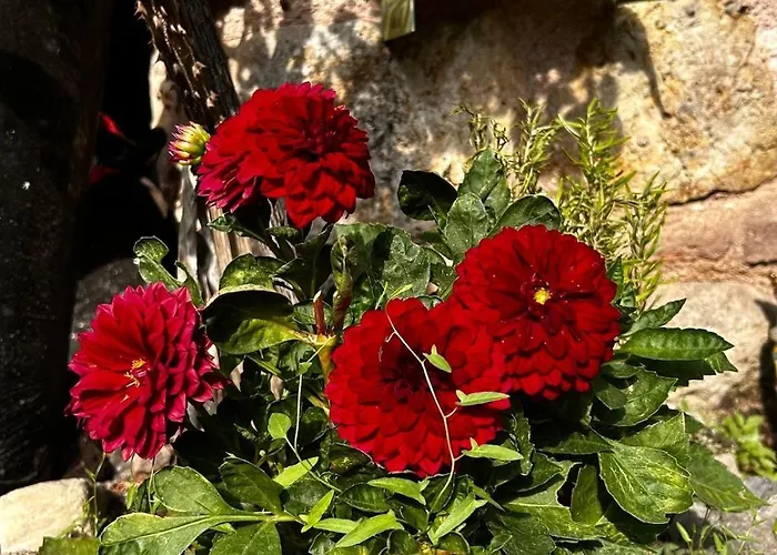 Welcome To The Presence Of History! * Istanbul