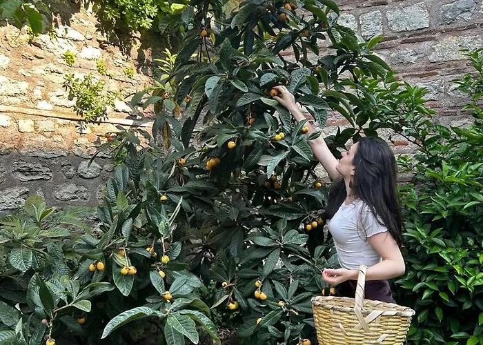 Semesterbostad Welcome To The Presence Of History!