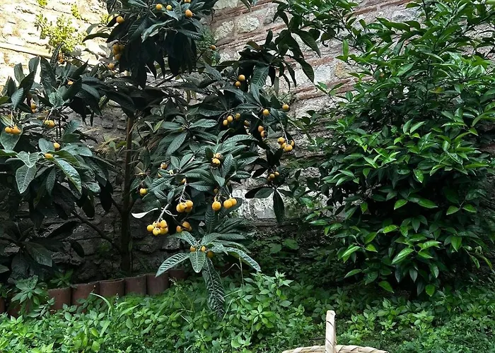 Welcome To The Presence Of History! Semesterbostad Istanbul