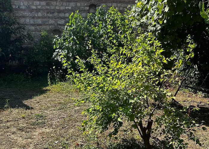 Welcome To The Presence Of History! *