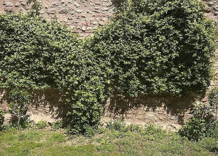 Semesterbostad Welcome To The Presence Of History! *