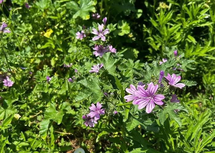 Semesterbostad Welcome To The Presence Of History! *