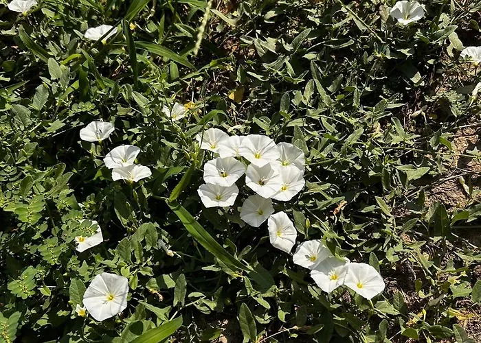 Welcome To The Presence Of History! *