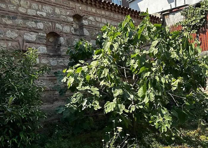 Welcome To The Presence Of History! Semesterbostad