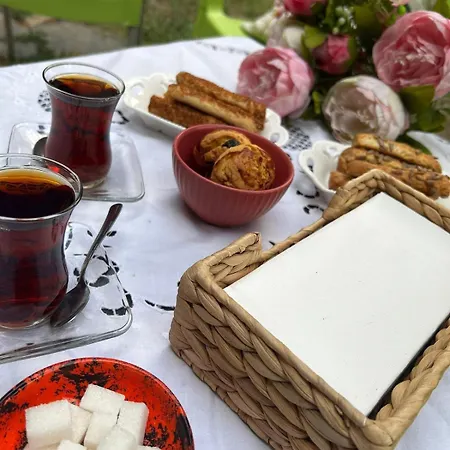 Welcome To The Presence Of History! Tatil Evi